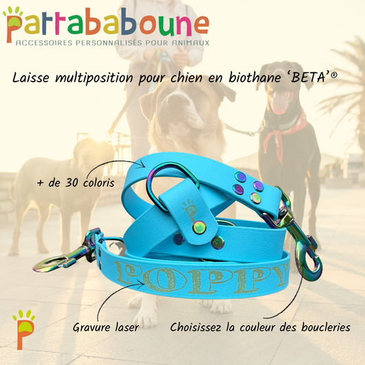 Laisse multiposition chien personnalisable en biothane 25mm