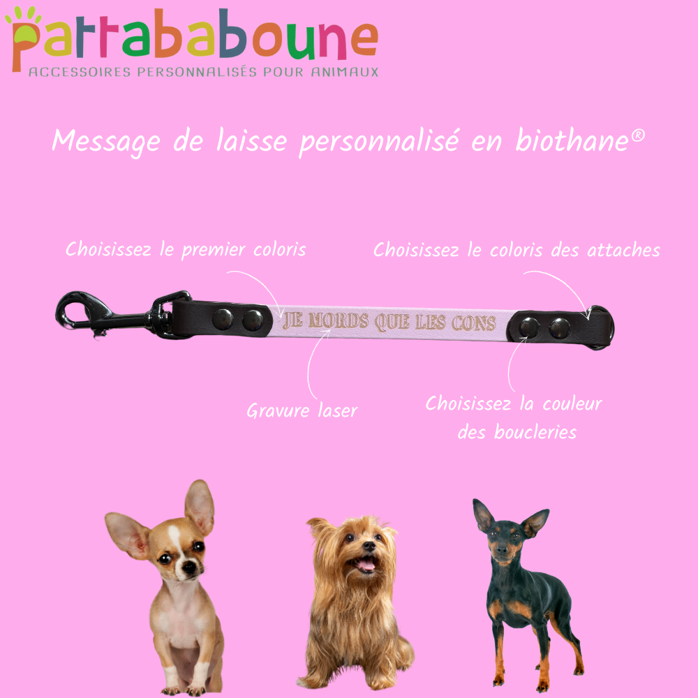 Extension de laisse avec message personnalisé en biothane 16 mm