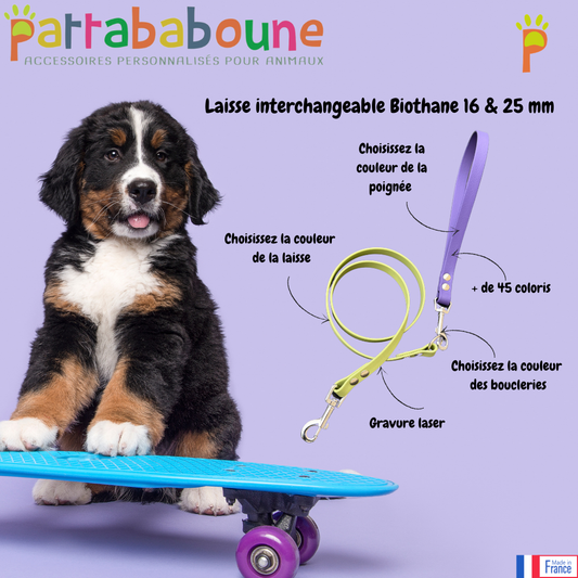 Laisse interchangeable personnalisée en biothane - 16 & 25 mm