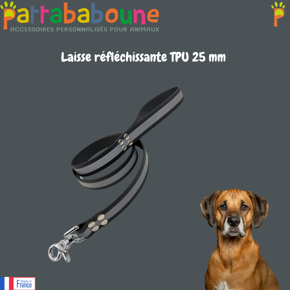 Laisse réfléchissante personnalisée - TPU 25 mm
