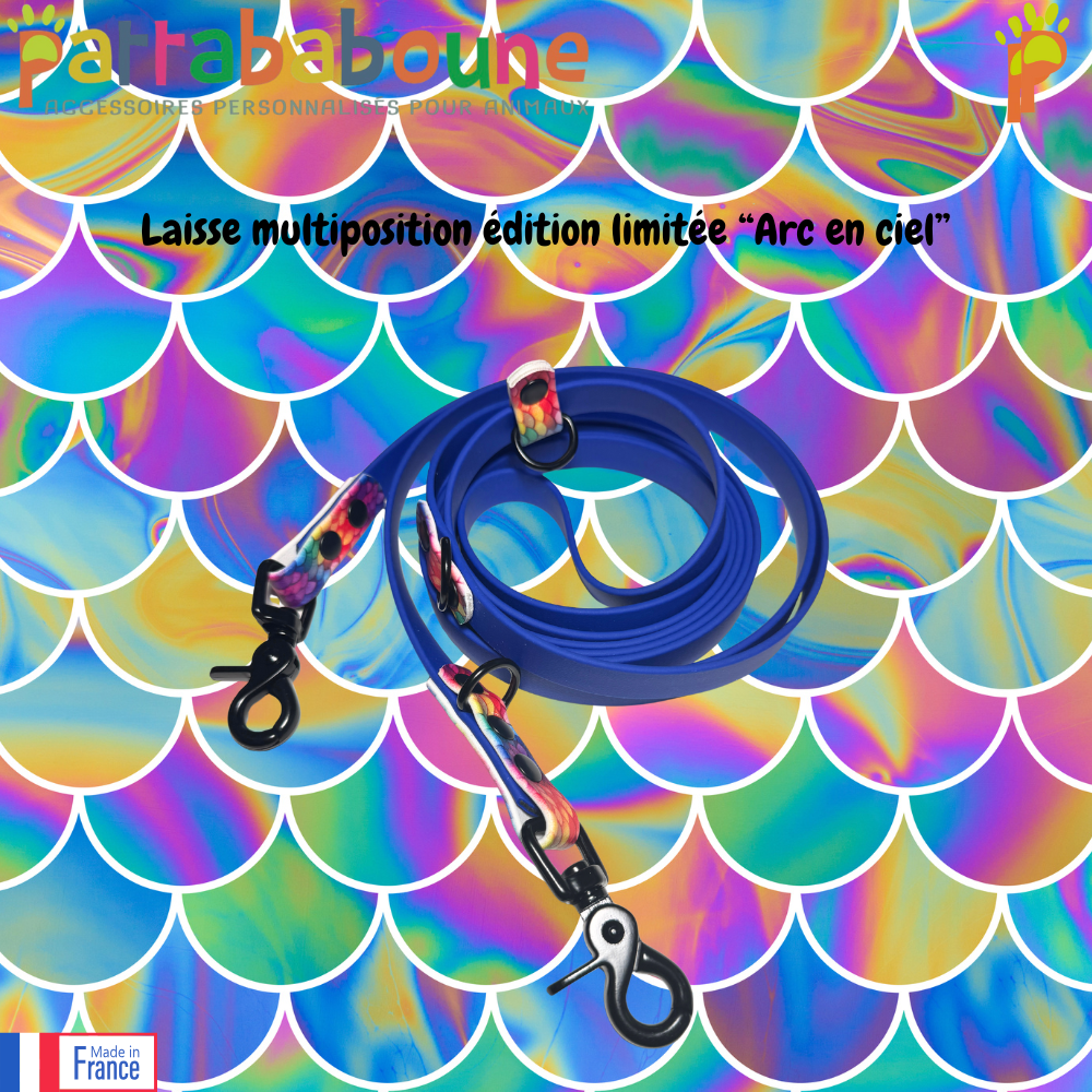 Laisse multiposition personnalisée en biothane 16 mm - édition limitée "Arc en ciel"