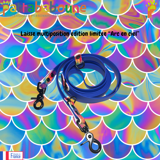 Laisse multiposition personnalisée en biothane 16 mm - édition limitée "Arc en ciel"