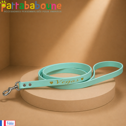 Custom Biothane Leash - 16 mm