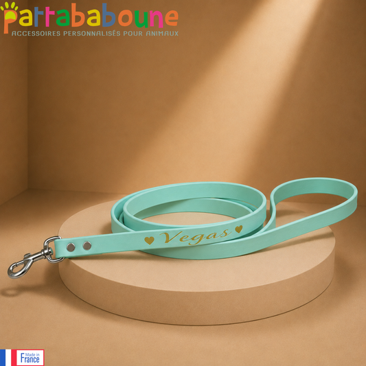 Laisse personnalisée en Biothane - 16 mm