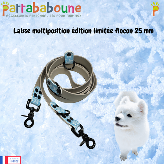 Laisse multiposition personnalisée Biothane édition limitée 25 mm - Flocon