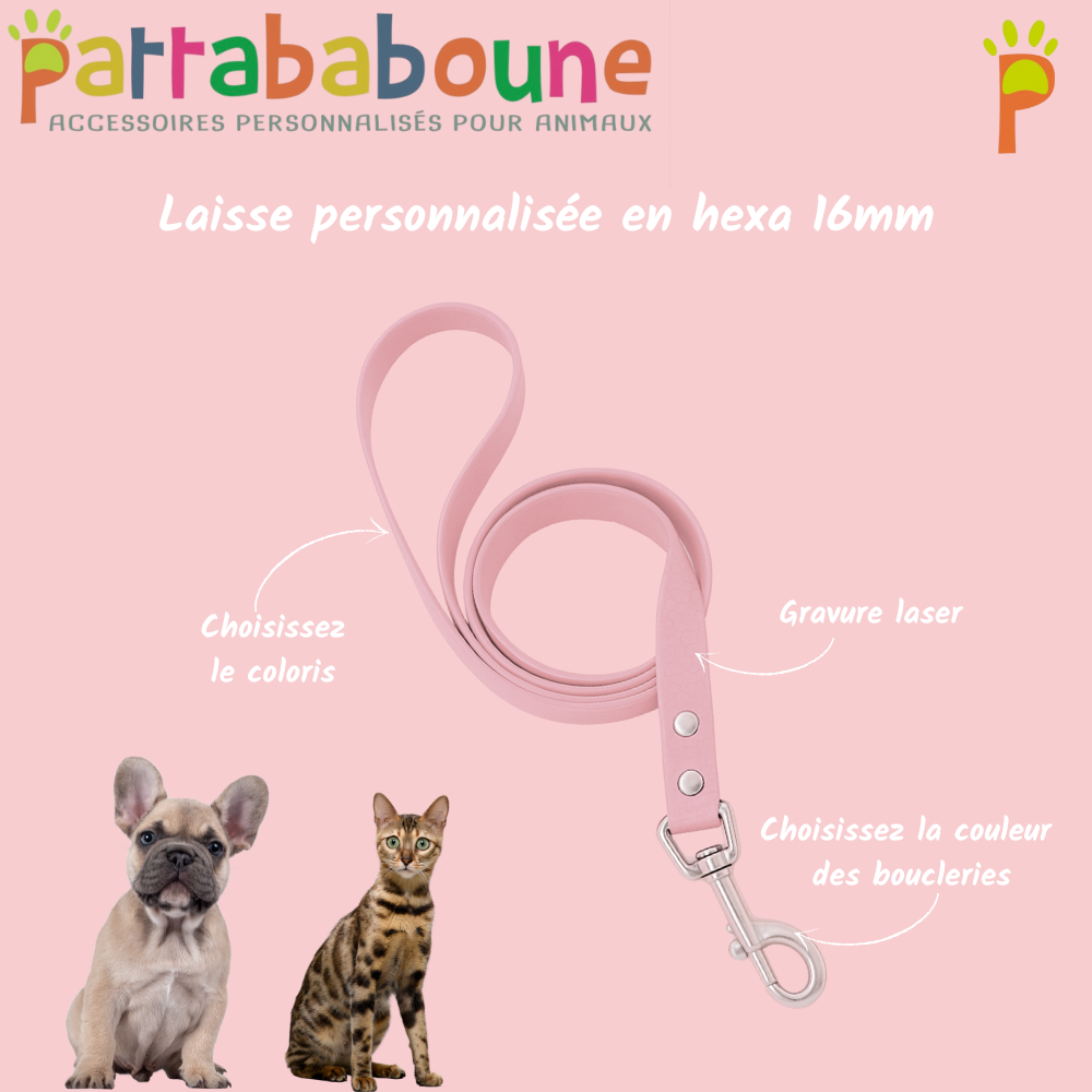 Laisse personnalisée en hexa 16 mm