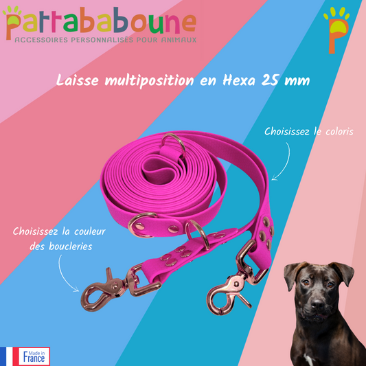Laisse multiposition personnalisée en hexa 25 mm