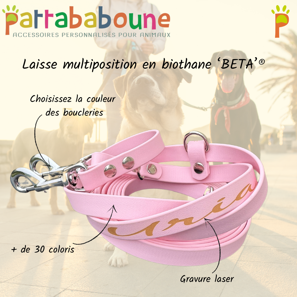 Laisse multiposition chien personnalisable en biothane 16mm