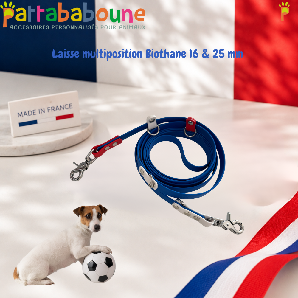 Laisse multiposition personnalisée Biothane bleu blanc rouge - 16 & 25 mm