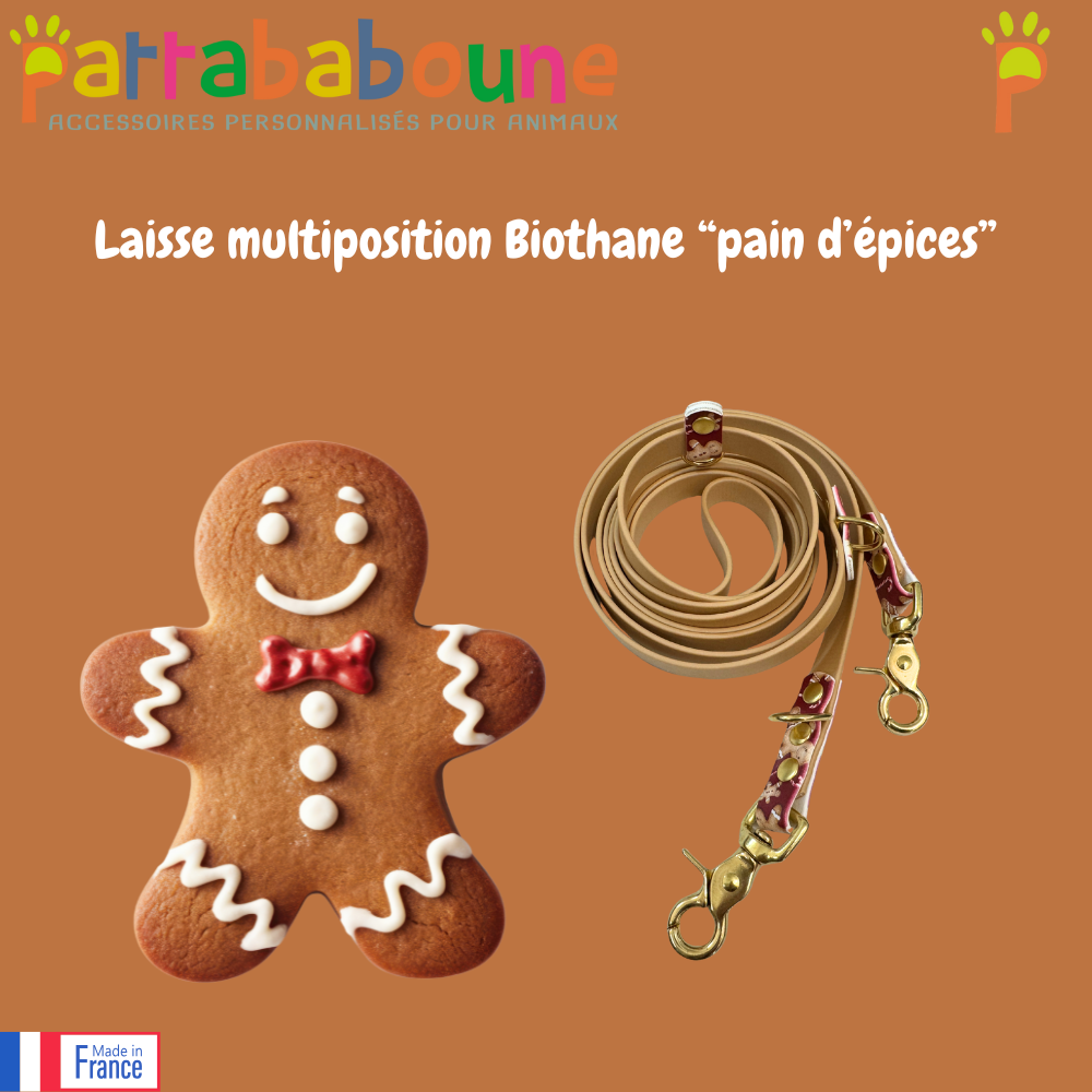 Laisse multiposition édition limitée "Pain d'épices" - Biothane 16 mm