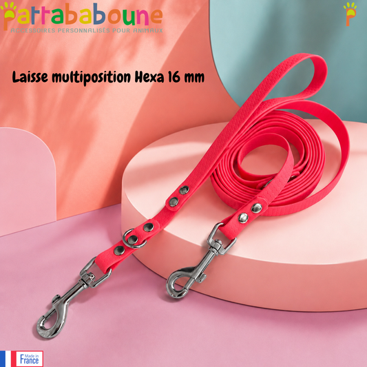 Laisse multiposition Hexa personnalisée pour chien - 16 mm