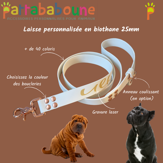 Laisse personnalisée en biothane 25 mm