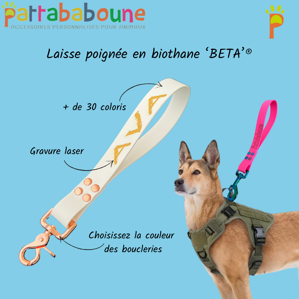 Laisse poignée chien personnalisable en biothane 25mm