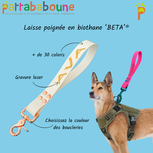 Laisse poignée chien personnalisable en biothane 25mm