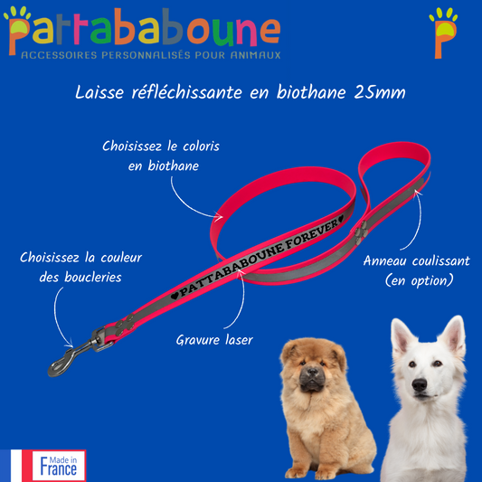 Laisse réfléchissante personnalisée en biothane 25 mm