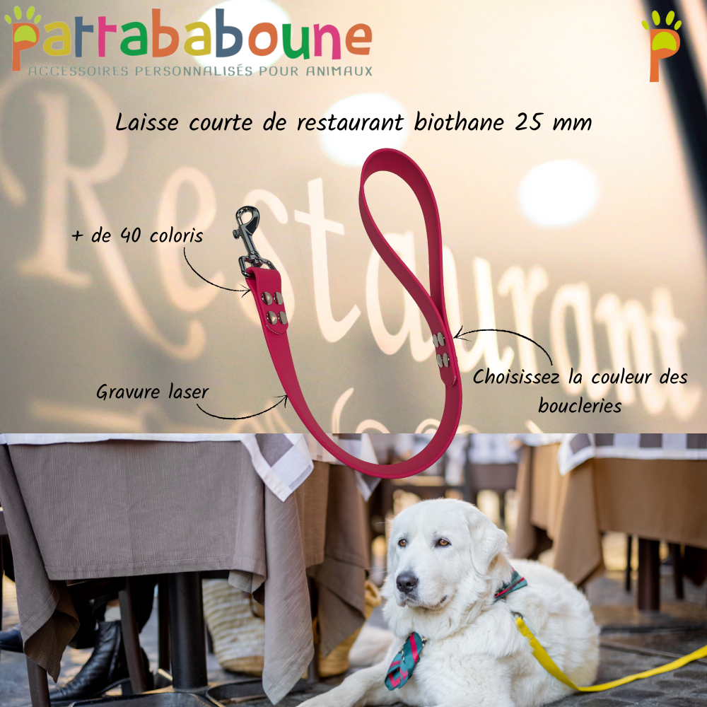 Laisse courte restaurant personnalisée en biothane 25 mm