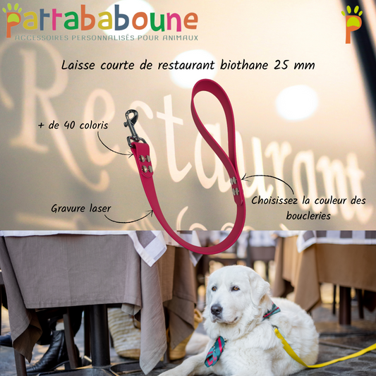 Laisse courte restaurant personnalisée en biothane 25 mm