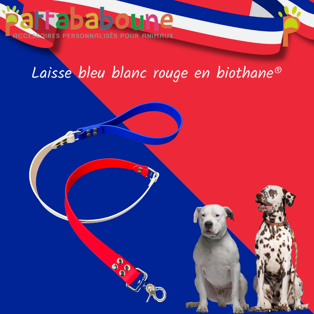 Laisse personnalisée bleu blanc rouge en biothane 25 mm