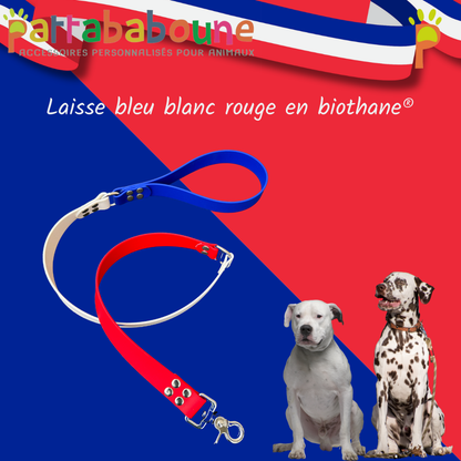 Laisse personnalisée bleu blanc rouge en biothane 25 mm