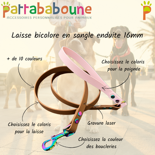 Laisse en sangle enduite personnalisée bicolore 16mm