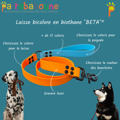 Laisse personnalisée bicolore en biothane 25 mm