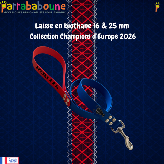 Laisse chien Biothane - Collection Champion d'Europe 2026
