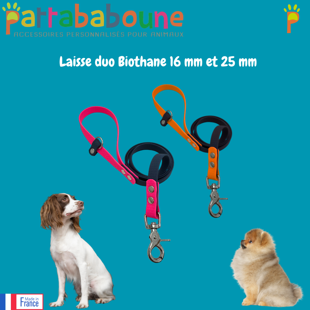 Laisse duo personnalisée en Biothane 16 et 25 mm