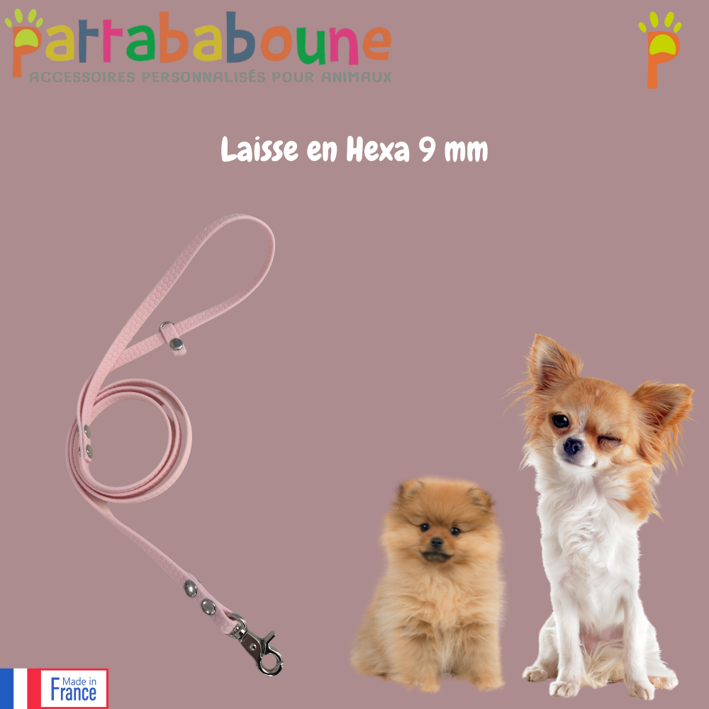 Laisse personnalisée en hexa 9 mm