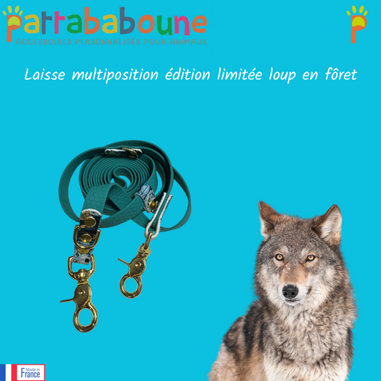 Laisse multiposition en hexa 16 mm édition limitée "Loup en fôret"