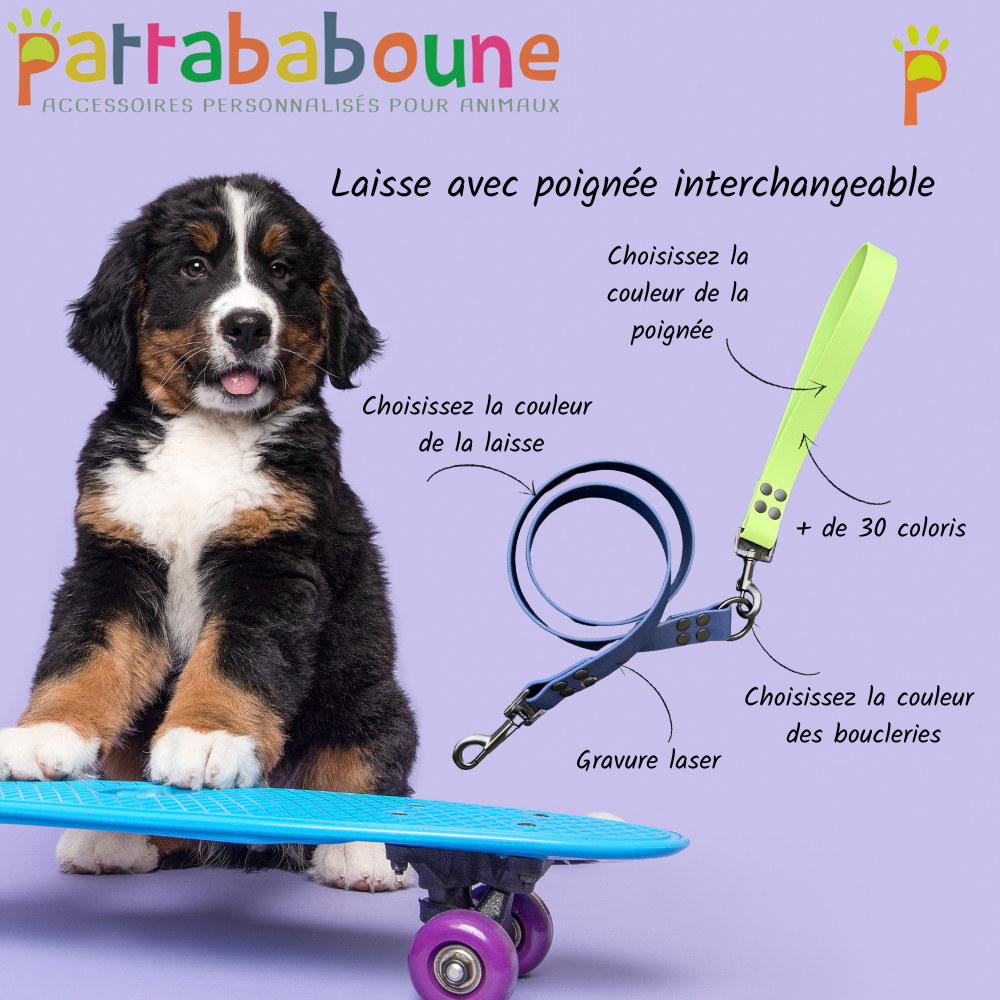 Laisse interchangeable personnalisée en biothane 25 mm