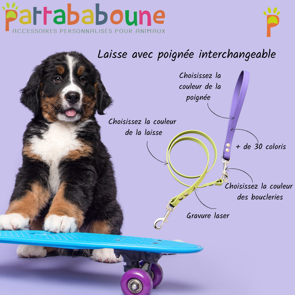 Laisse interchangeable personnalisée en biothane 16 mm