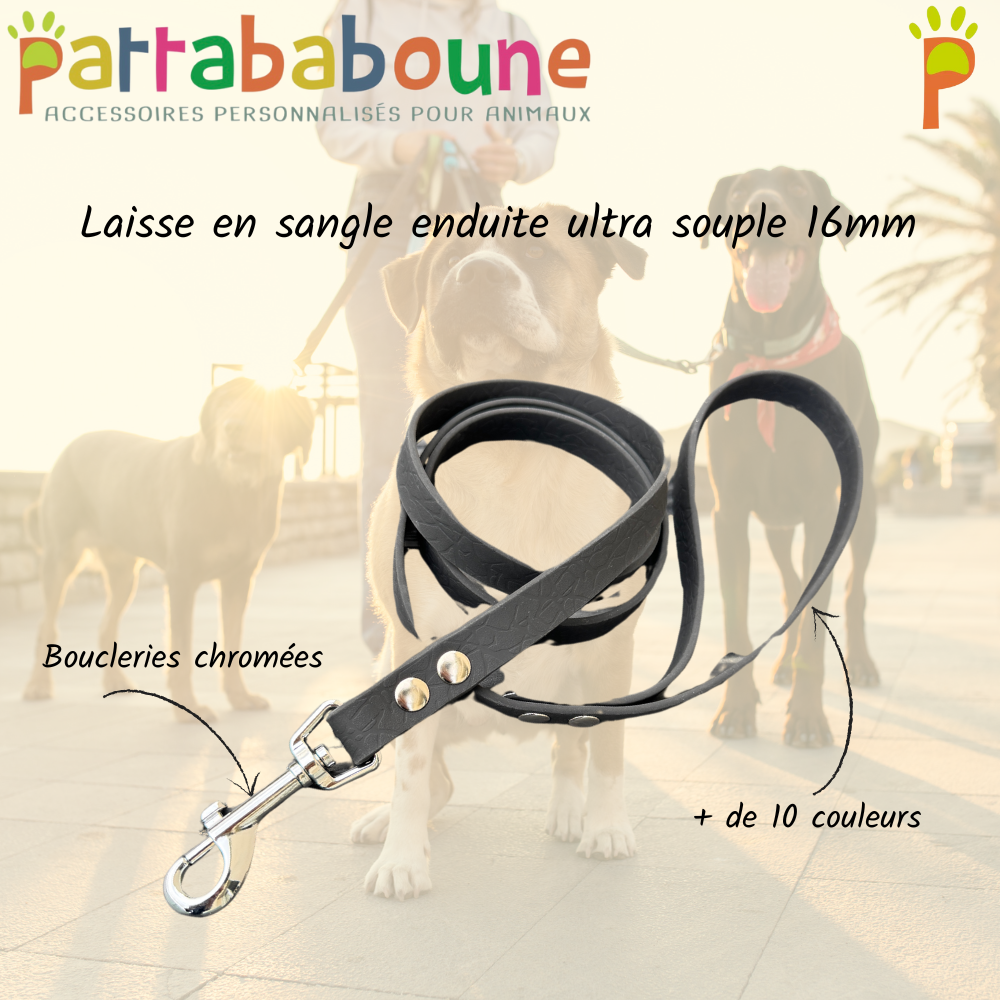 Laisse en sangle enduite ultra souple 16mm