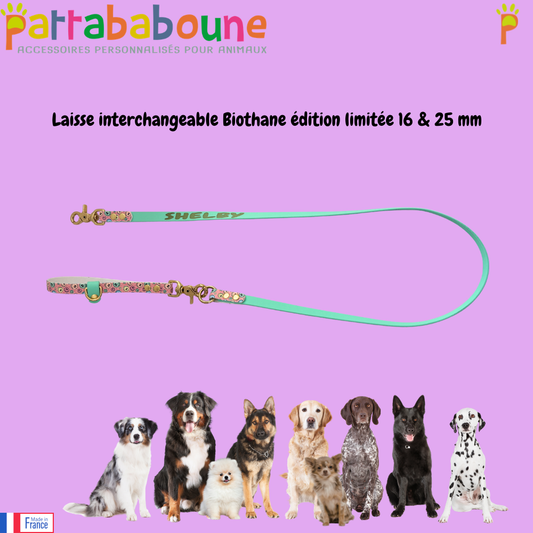 Laisse interchangeable personnalisée en biothane - Édition limitée 16 & 25 mm