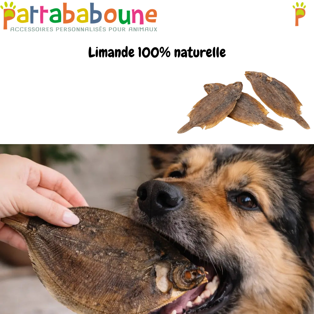 Limande 100% naturelle - Pour chien
