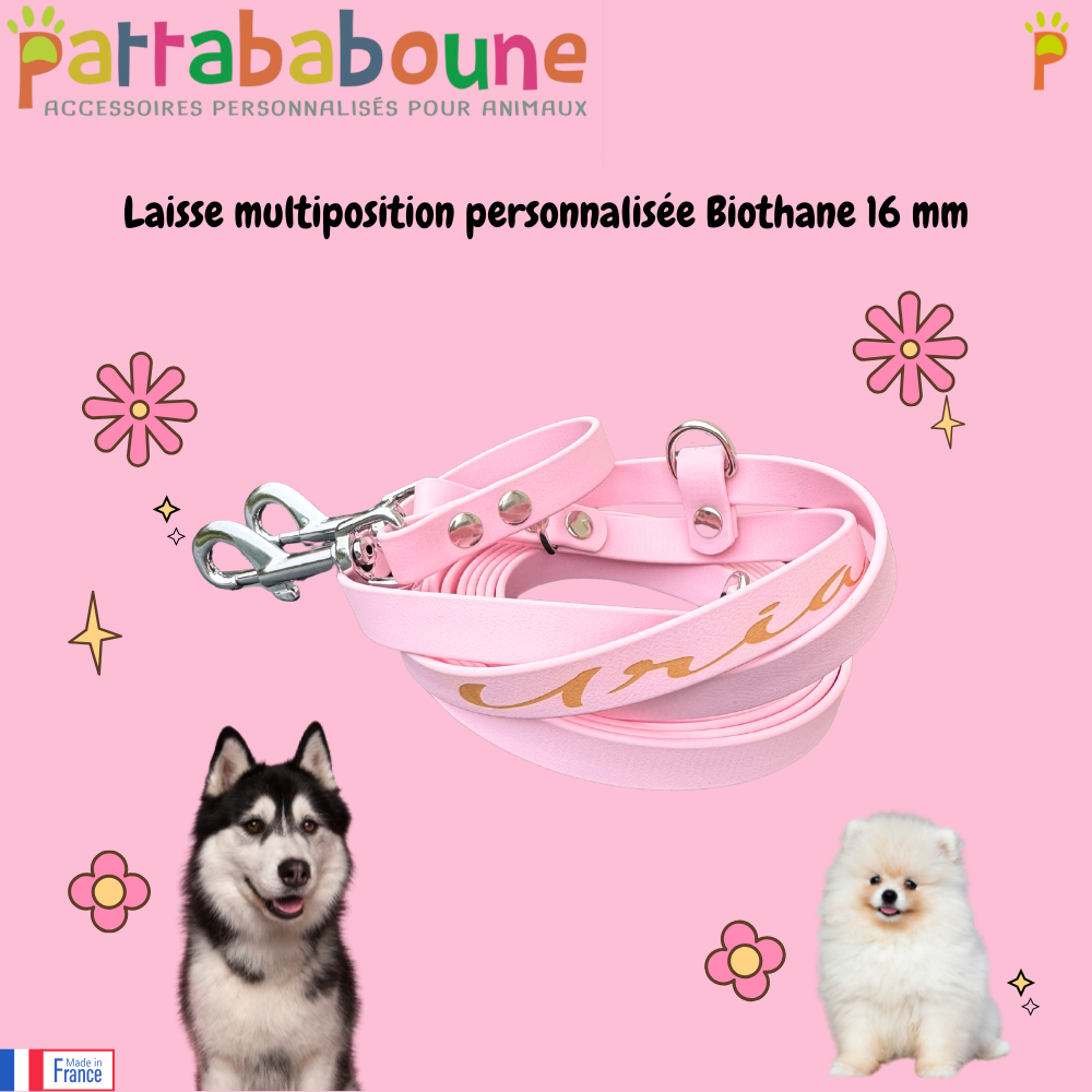 Laisse multiposition personnalisée en biothane 16 mm