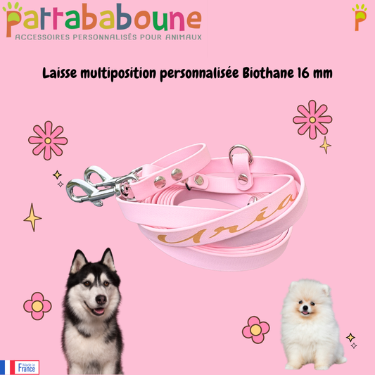 Laisse multiposition personnalisée en biothane 16 mm