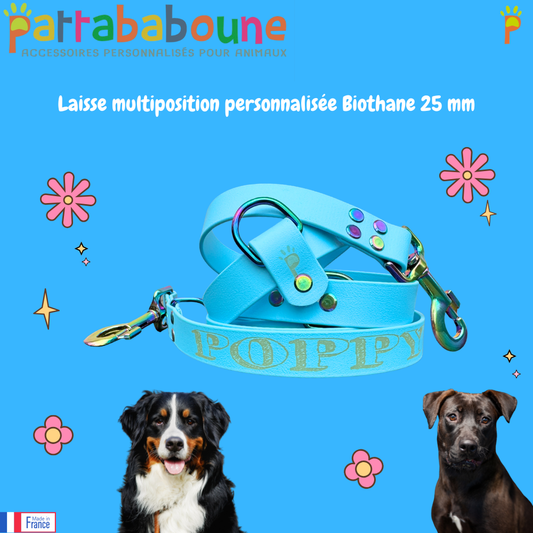 Laisse multiposition personnalisée en Biothane - 25 mm