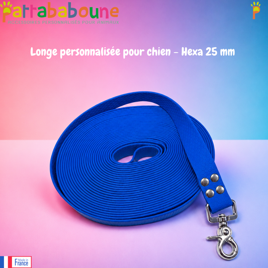 Longe personnalisée pour chien en Hexa 25 mm