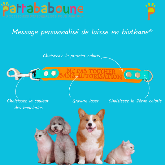 Extension de laisse avec message personnalisé en biothane 25mm