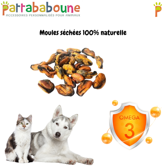 Moules séchées pour chiens et chats