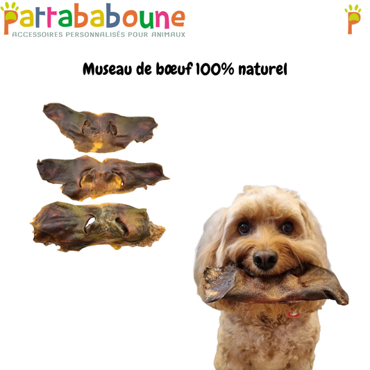 Museau de bœuf XL 100% naturel