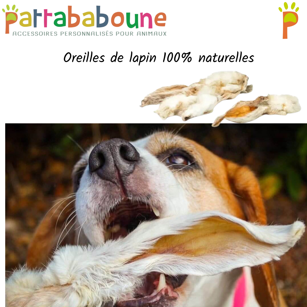 CHASSE AU TRÉSOR (2 exemplaires Disponibles!!!!!)