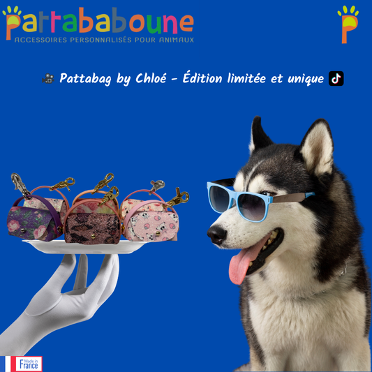 Pattabag by Chloé - Édition unique