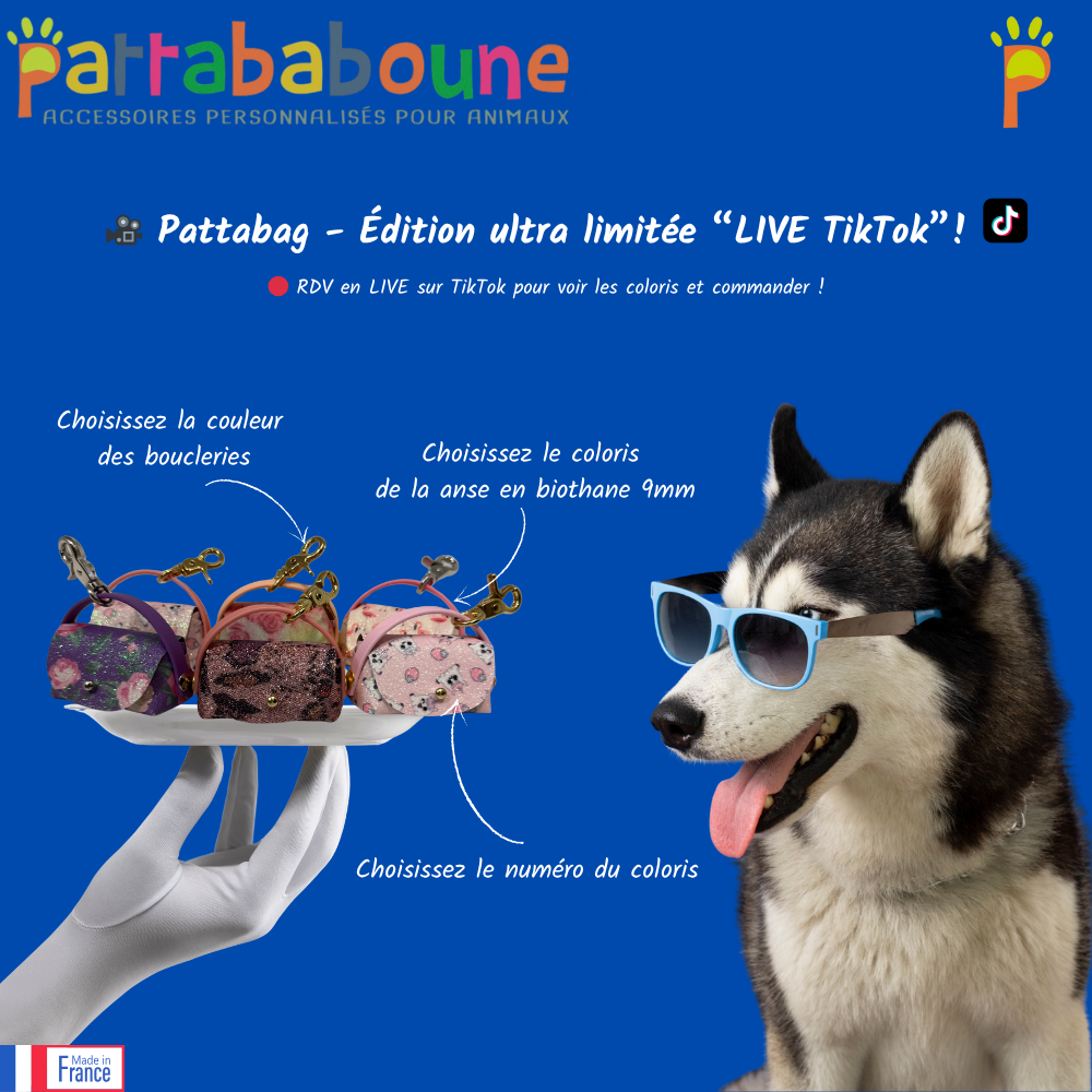 Pattabag - Édition ultra limitée "LIVE TikTok"