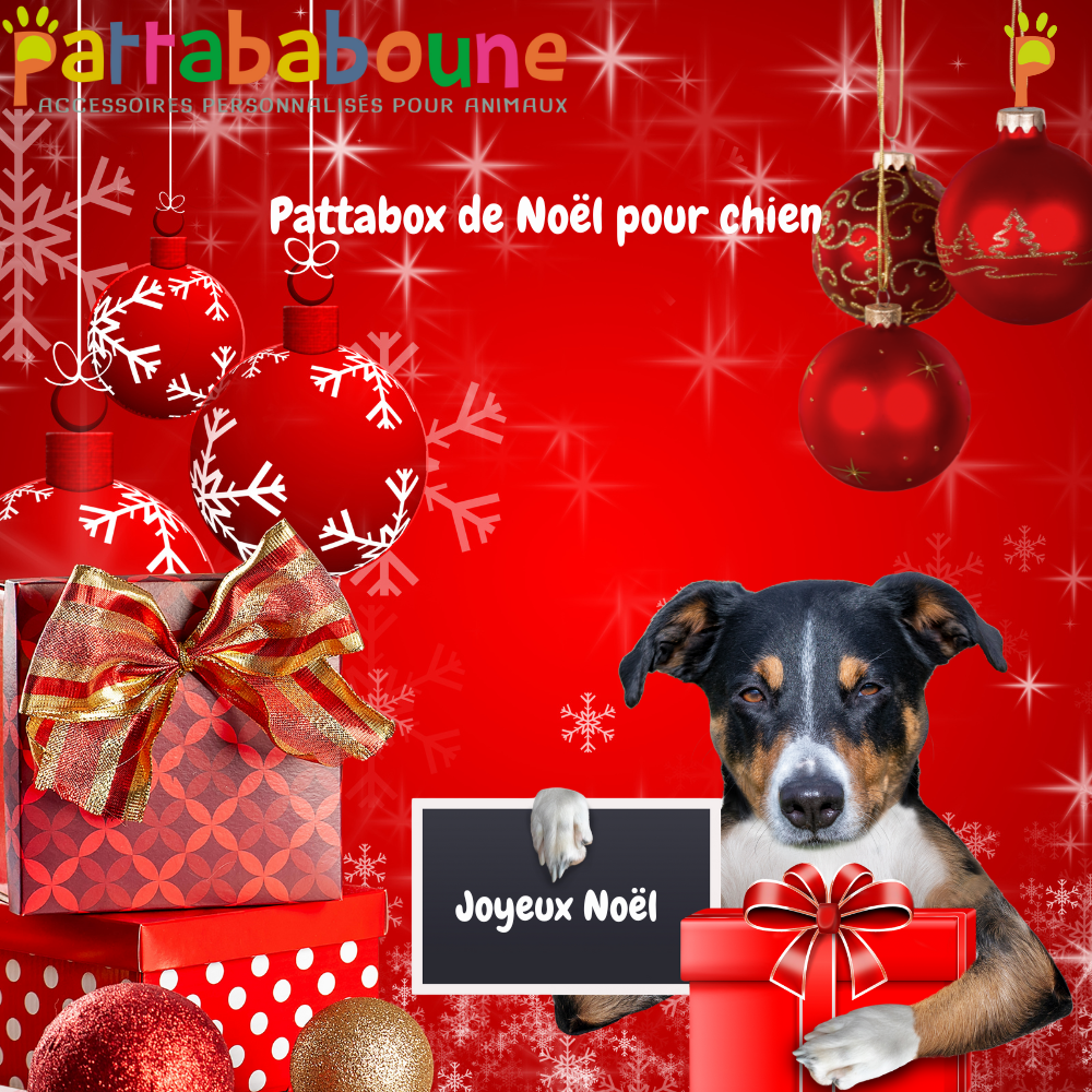 Box surprise de Noël pour chien - Pattabox