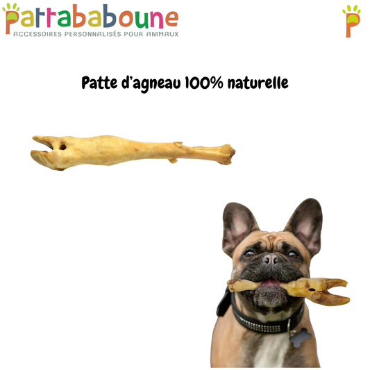 Patte d'agneau 100% naturelle