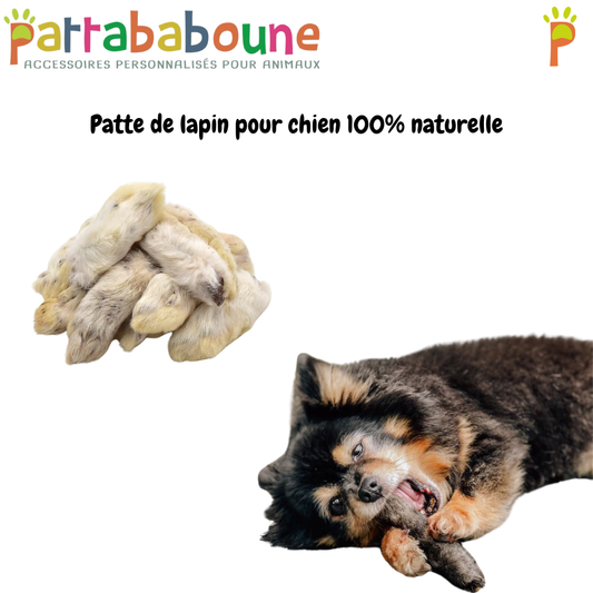 Patte de lapin pour chien 100% naturelle