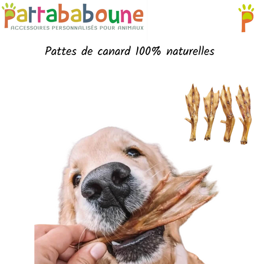 Pattes de canard pour chien 100 % naturelles