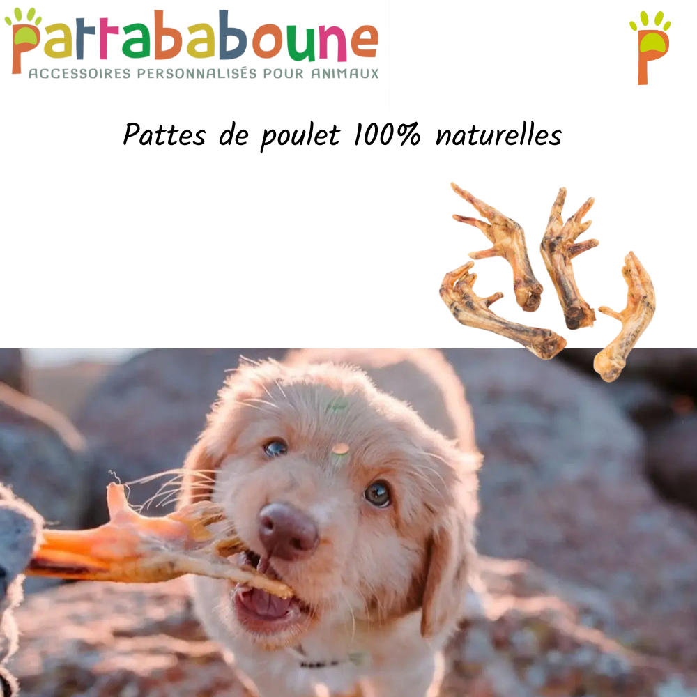Pattes de poulet pour chien 100 % naturelles