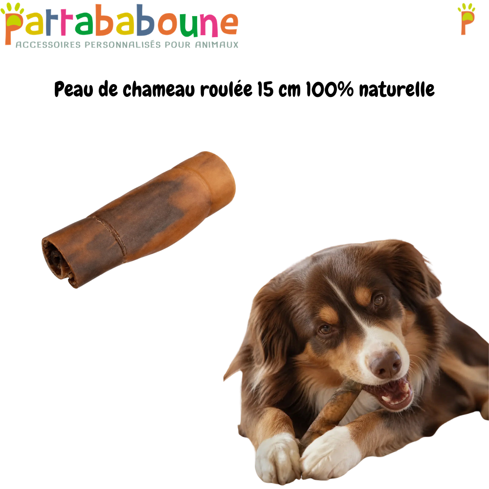 Peau de chameau roulée 15 cm pour chien 100% naturelle